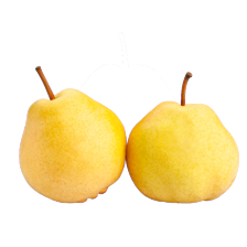 Nashi peren